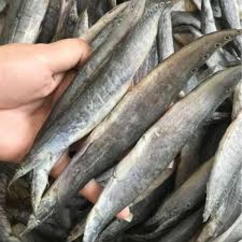 KHÔ CÁ CHẠCH ĐỒNG 1KG